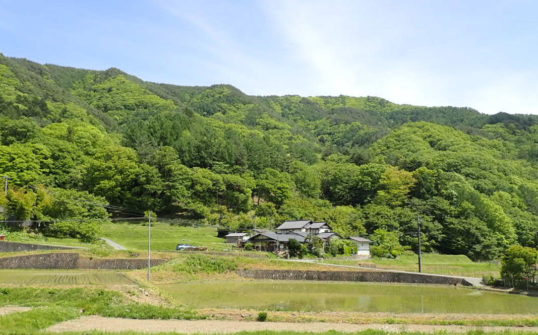 住まいをとりまく生き物環境