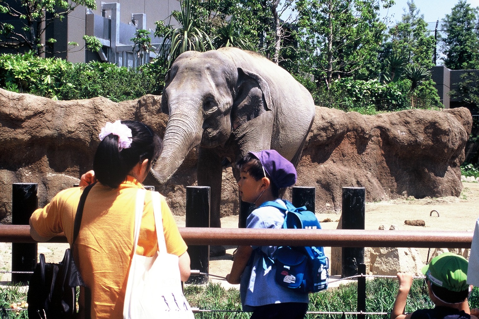 動物園デザイン　園路２「手すりと観覧空間」