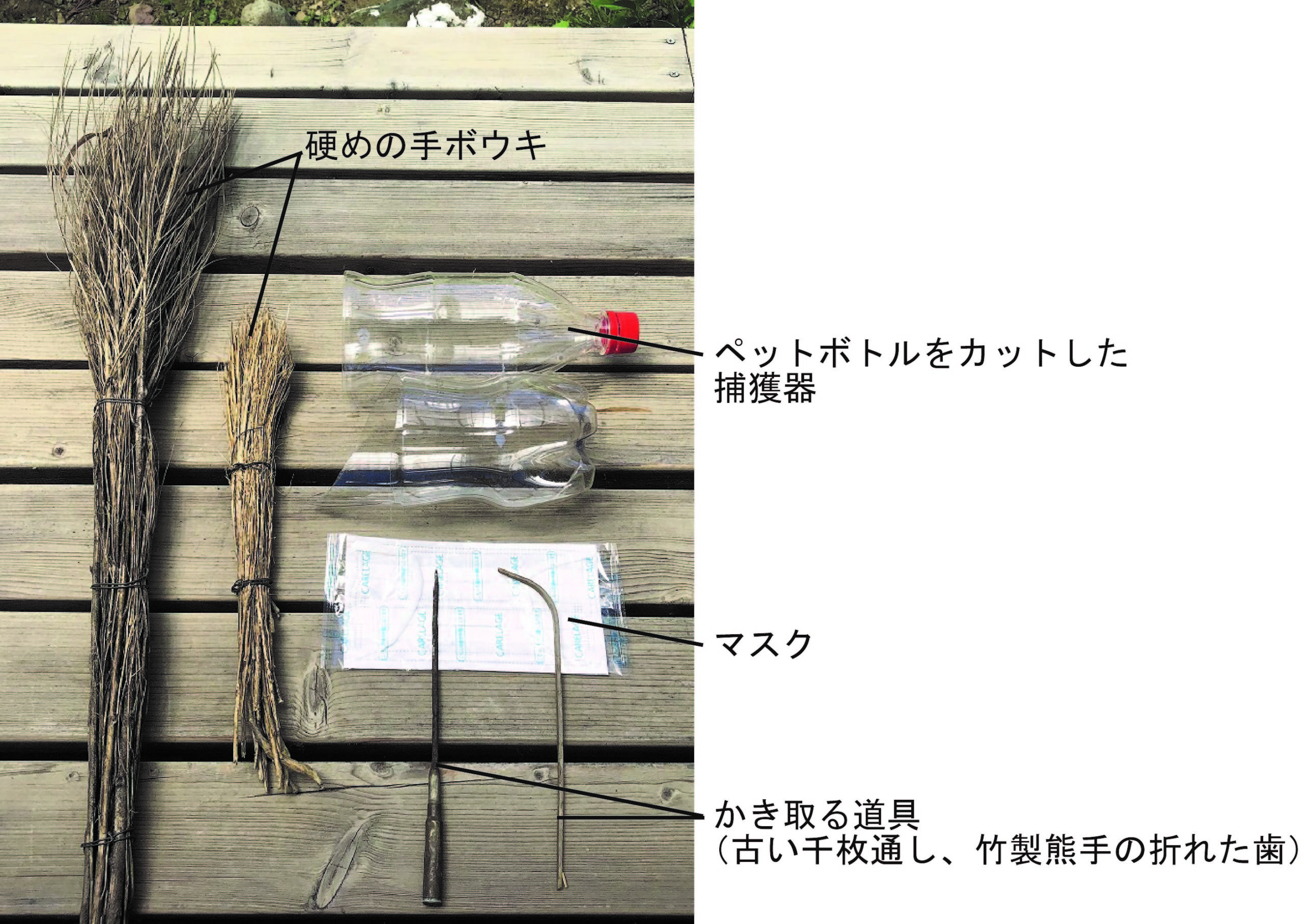 続報 大量発生のマイマイガ 卵塊駆除編 Tonzako Com 続報 大量発生のマイマイガ 卵塊駆除編 Tonzako Com
