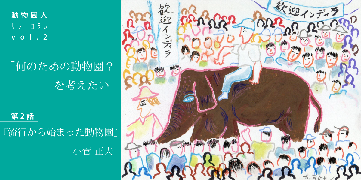 保護中: 小菅正夫さんコラム「何のための動物園？を考えたい」第2話『流行から始まった動物園』